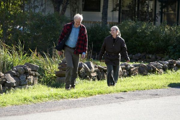 Sempre estarei contigo