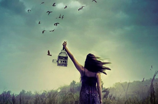 O preço da Liberdade